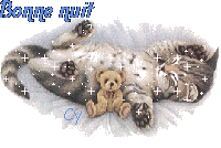 bone nuit