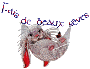 fais de beaux rèves