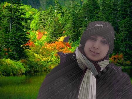 c mon amis